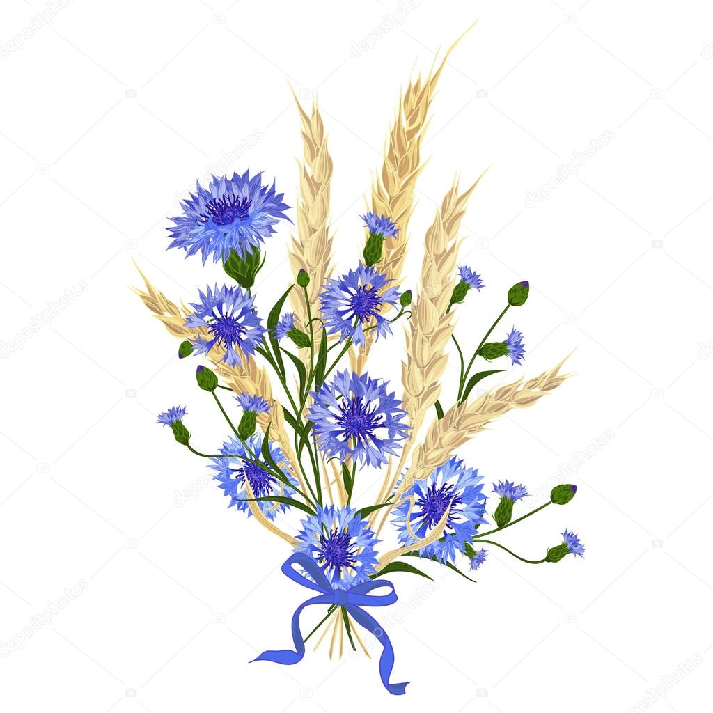 Beautiful bouquet of cornflowers and wheat spikelets, tied with silk ribbon