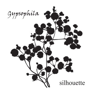 Branch of beautiful hand-drawn silhouette gypsophila clipart