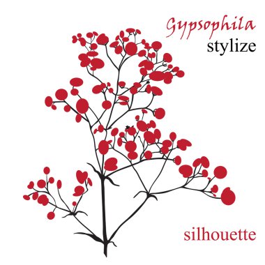 Güzel çizilmiş silueti gypsophila Şubesi