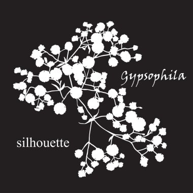Güzel çizilmiş silueti gypsophila Şubesi