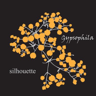 Güzel çizilmiş silueti gypsophila Şubesi
