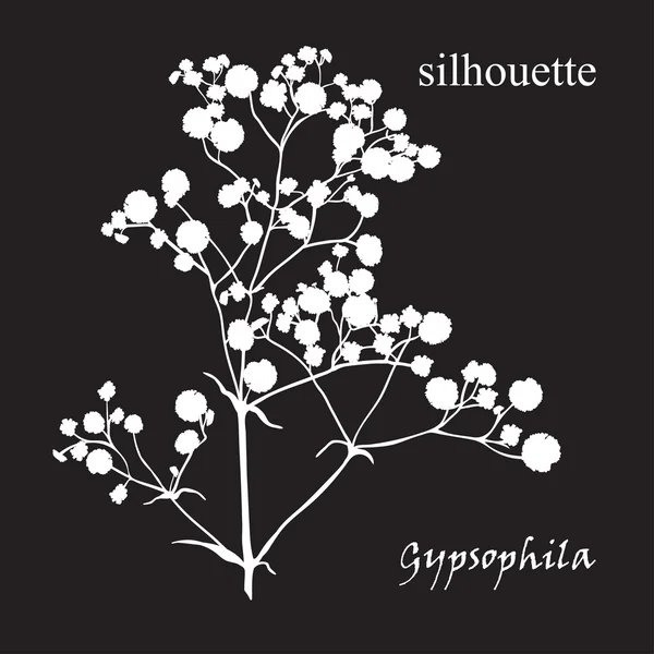 Branch of beautiful hand-drawn silhouette gypsophila — Stock Vector