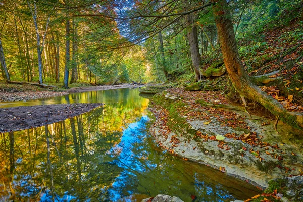 Blick Auf War Creek Neben Turkey Foot Campground Der Nähe — Stockfoto