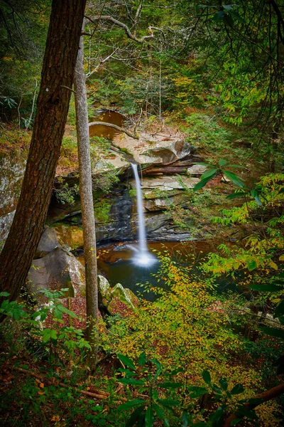 Gray Hawk Kentucky Yakınlarındaki Güzel Flat Lick Falls Manzarası — Stok fotoğraf