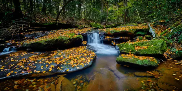 Небольшой Водопад Флэт Лик Крик Рядом Грей Хоук Кентукки — стоковое фото
