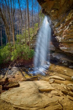Brevard NC yakınlarındaki Pisgah Ulusal Ormanı 'ndaki Moore Cove Waterfall' un yan görüntüsü.