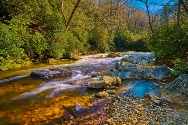 Ποταμός Mills Στο Pisgah National Forest Βόρεια Καρολίνα — Φωτογραφία Αρχείου