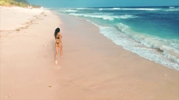Junge Attraktive Frau Läuft Und Genießt Entspannung Sandstrand Der Nähe — Stockvideo