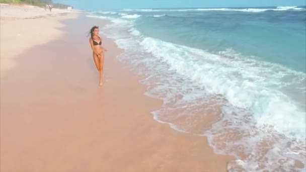 Jeune Femme Séduisante Courant Profitant Plage Sable — Video