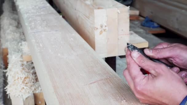 Carpinteiro Está Afiando Lápis Com Cinzel — Vídeo de Stock