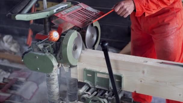 Ο άγνωστος ξυλουργός κόβει την ξύλινη σανίδα με το πριόνι στο εργαστήριό του. — Αρχείο Βίντεο