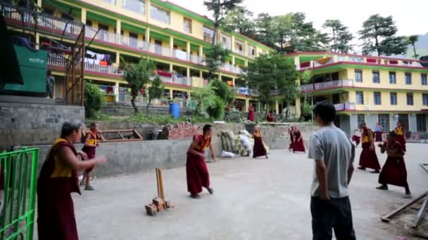 Tibetan monks play cricket. — Stock Video