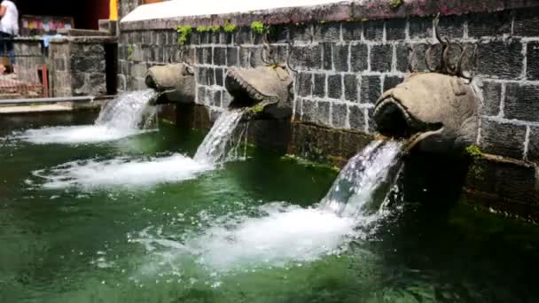 Sources d'eau sacrées au temple Bhagsu Nag . — Video