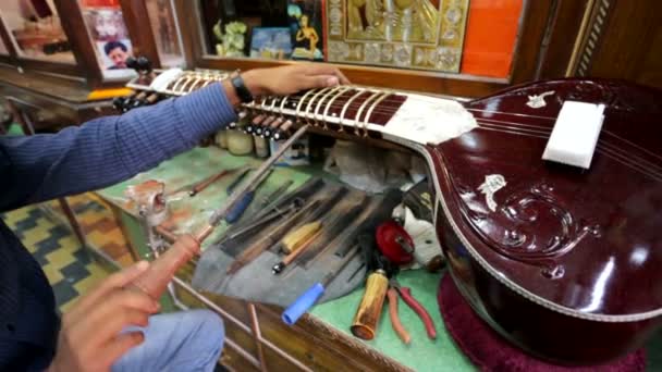 Indiska traditionella instrument hantverkare justera sitar. — Stockvideo