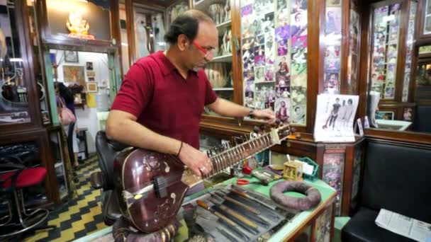 Indian traditional instrument craftsman adjust sitar. — Stock Video