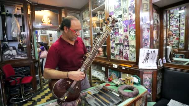 Artesano instrumento tradicional indio ajustar sitar . — Vídeos de Stock