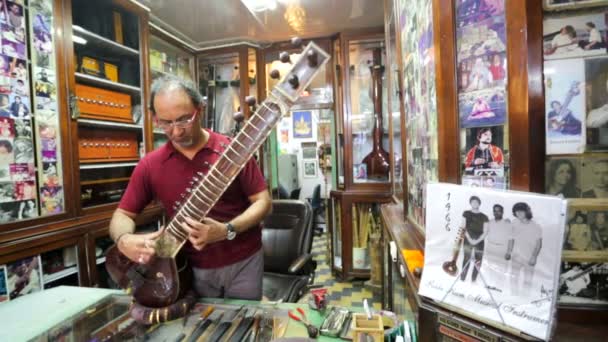 Indiska traditionella instrument hantverkare justera sitar. — Stockvideo