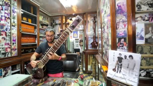 Artesano instrumento tradicional indio ajustar sitar . — Vídeos de Stock