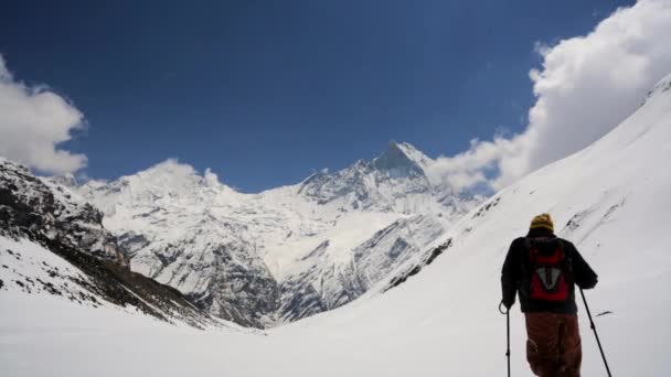 Vandrare i Himalaya bergen — Stockvideo