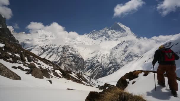 Escursionista in Himalaya montagne — Video Stock
