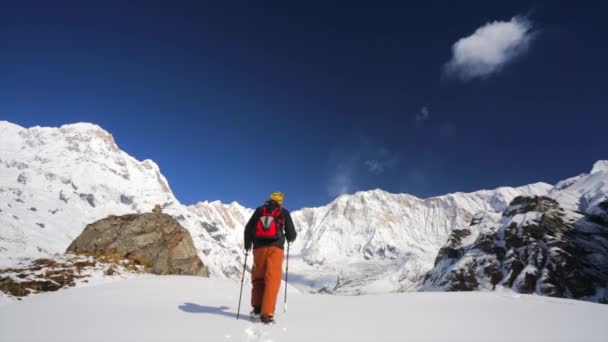 Wandelaar in bergen van de Himalaya — Stockvideo