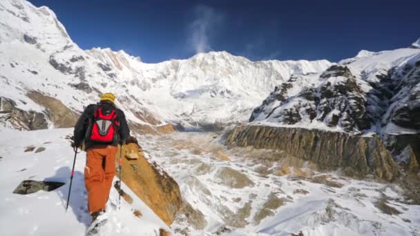 Senderista en las montañas del Himalaya — Vídeos de Stock