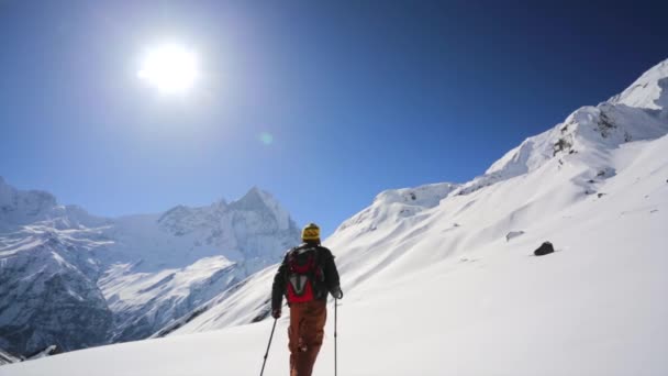 Wandelaar in bergen van de Himalaya — Stockvideo