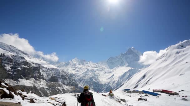 Himalaya Dağları'nda uzun yürüyüşe çıkan kimse — Stok video