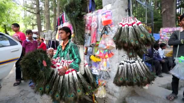 Vendor sells peacock feathers — Stock Video