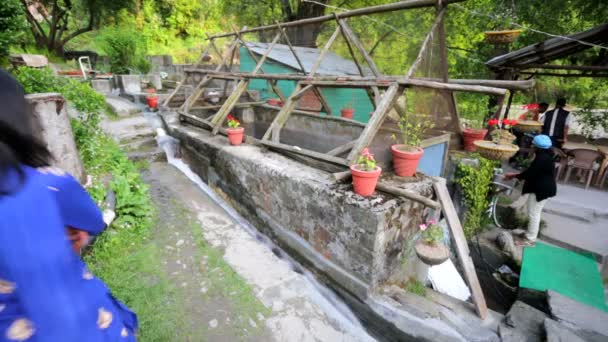 The Indo-Norway Trout Fish Farm. — Stock Video