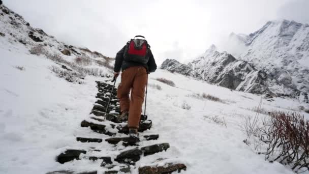 Wandelen in de Himalaya bergen — Stockvideo