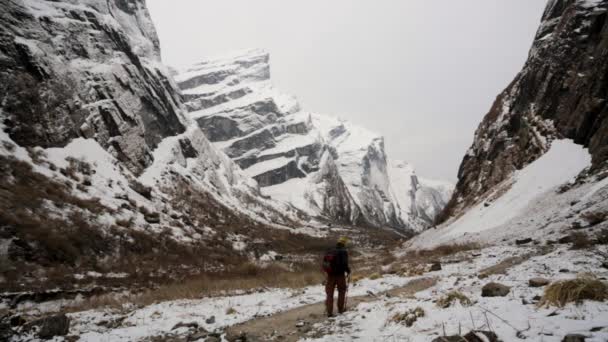 Vandring i himalaya berg — Stockvideo