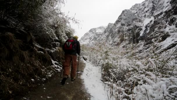 Trekking in Himalaya mountains — Stock Video