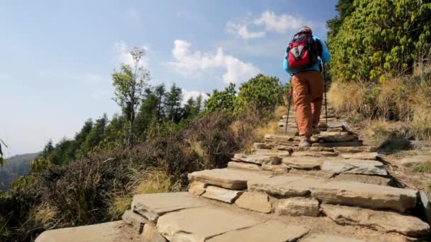 Wandelen in de Himalaya bergen — Stockvideo