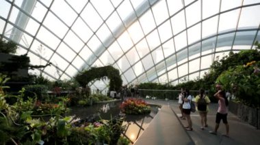 İnsanlar bulut orman Dome.