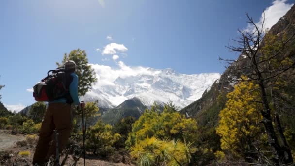 Wandelen in de Himalaya bergen — Stockvideo