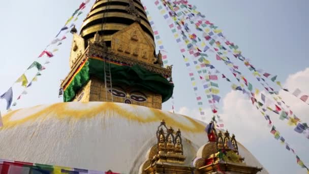 Templo de macaco em kathmandu — Vídeo de Stock