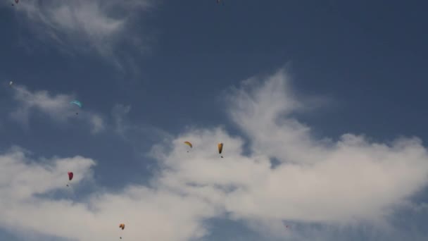Gleitschirme fliegen gegen den Himmel — Stockvideo