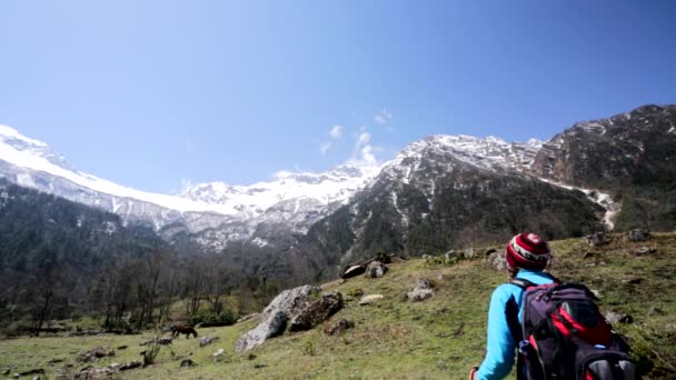 Senderismo de hombre en las montañas del Himalaya — Vídeo de stock