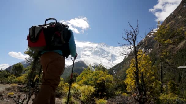 Senderismo en montañas del Himalaya — Vídeo de stock