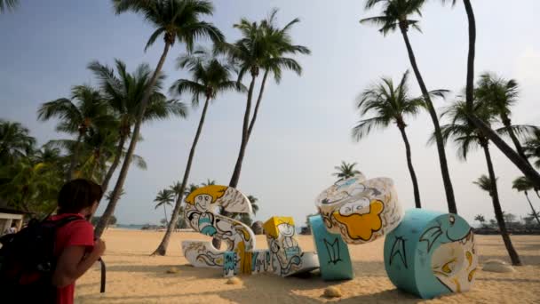 西乐索海滩雕像 — 图库视频影像