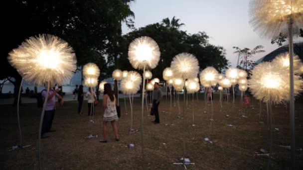 Festival der nachhaltigen Lichtkunst — Stockvideo