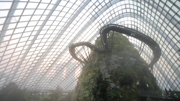 People at Cloud Forest Dome. — Stock Video