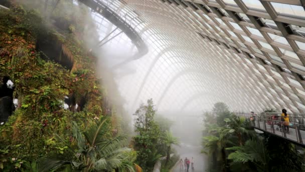 People at Cloud Forest Dome. — Stock Video