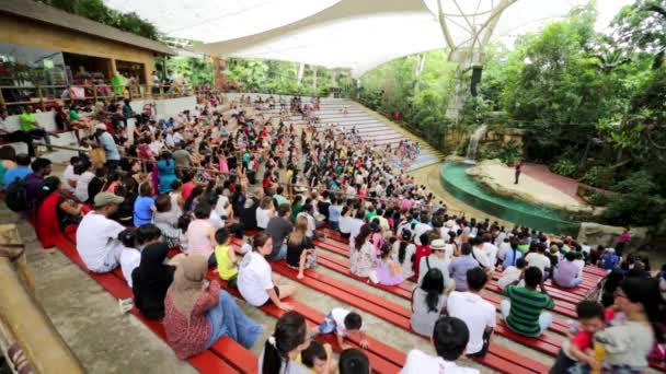 Regenwald-Show im Singapore Zoo — Stockvideo