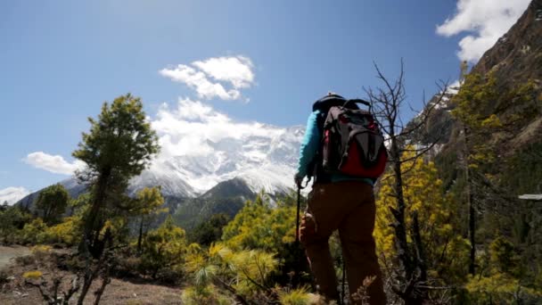 Himalaya dağlarında yürüyüş — Stok video