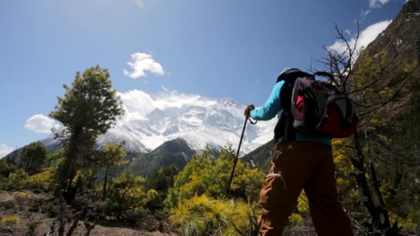 Hiking in Himalaya mountains — Stock Video