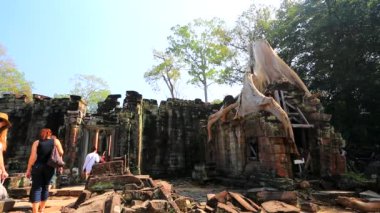 Turist Preah Khan tapınağı ziyaret