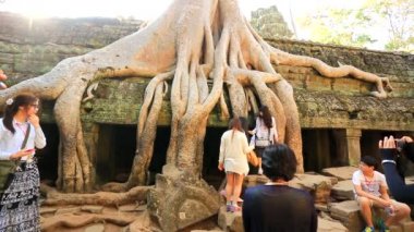 Turistler Ta Prohm tapınağı ziyaret