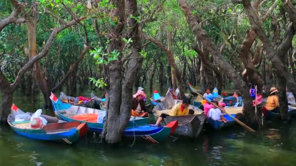 Taxi boats for tourists — Stock Video